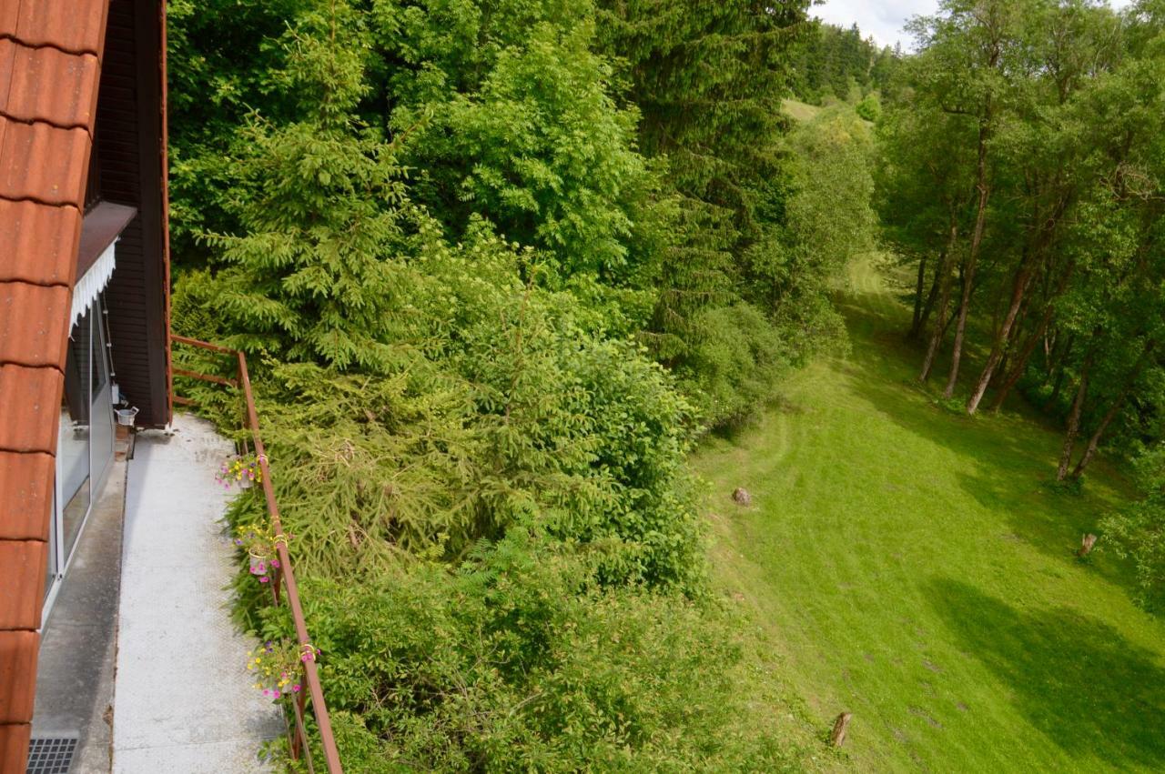 Ferienhaus Am Rachental Rubeland Zewnętrze zdjęcie